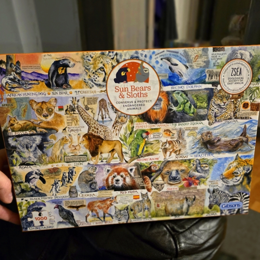 1000 pieces puzzle